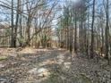 Image of a path through a wooded area with leaf-covered ground at 2001 Wheelers Church Rd Rd, Hurdle Mills, NC 27541