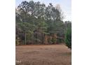 Open, grassy area with a line of trees at 520 Fire Lane Rd, Bunnlevel, NC 28323