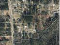 An aerial view of the property with a red outline marking its boundary at 923 Sunny Ln, Raleigh, NC 27603