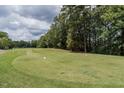 Landscaped golf course with lush green grass and trees at 323 Hogans Valley Way, Cary, NC 27513