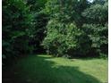 Large, wooded backyard with a grassy area at 3418 Leonard St, Raleigh, NC 27607