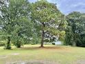 Spacious lot with mature trees and grassy area at 2164 Ray Rd, Spring Lake, NC 28390