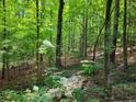 Private wooded lot offering seclusion and nature views at 366 Cardinal Bay, Sanford, NC 27332