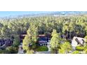 Aerial view of house in wooded neighborhood at 3375 Carolina Way, Sanford, NC 27332