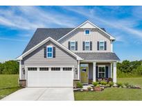 Two-story house with gray siding, landscaping, and two-car garage at 8916 Stratus St, Willow Springs, NC 27592