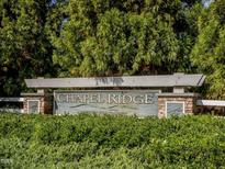 Chapel Ridge community entrance sign at 13 Blackhorn Ct, Pittsboro, NC 27312
