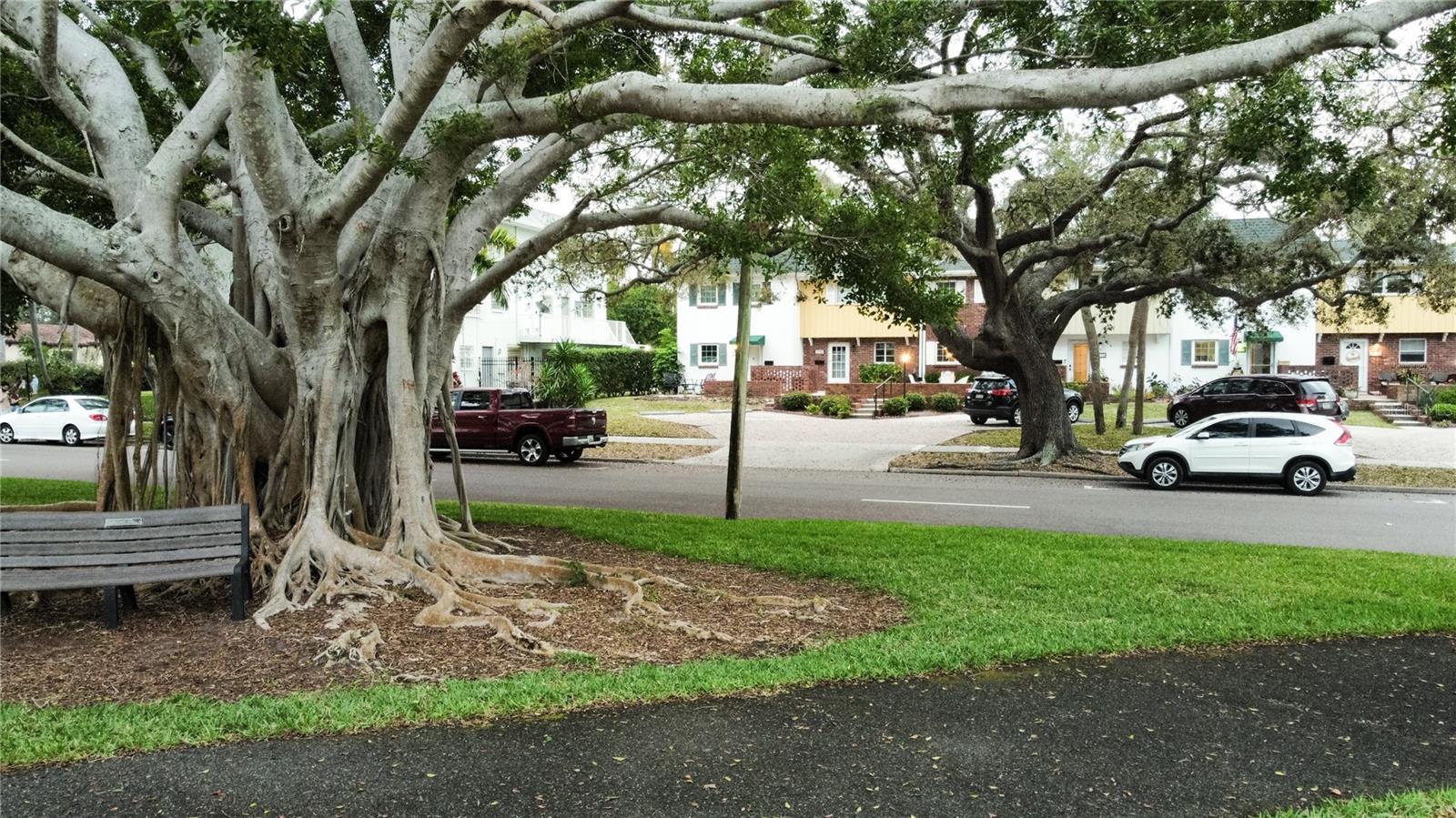 Photo #28