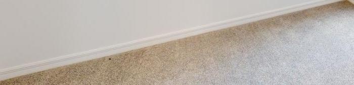 Photo #14