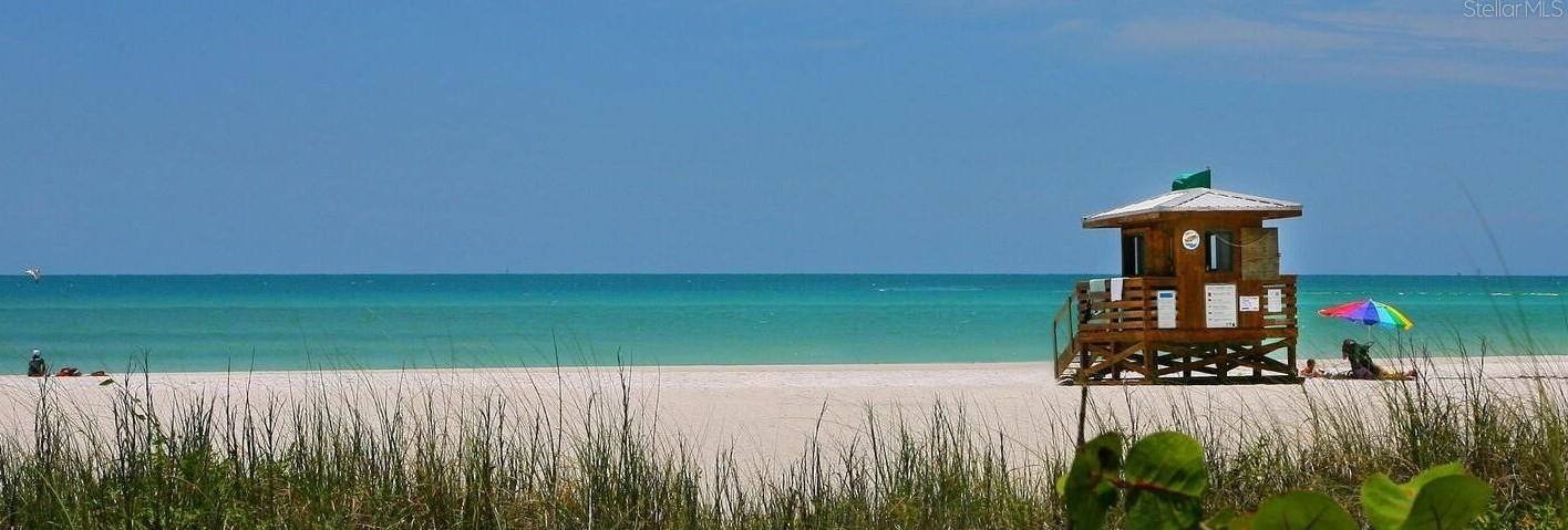 Photo #10