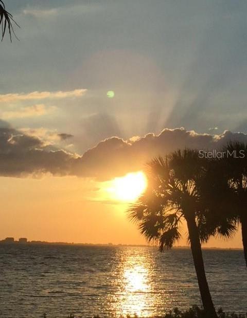 Photo #50