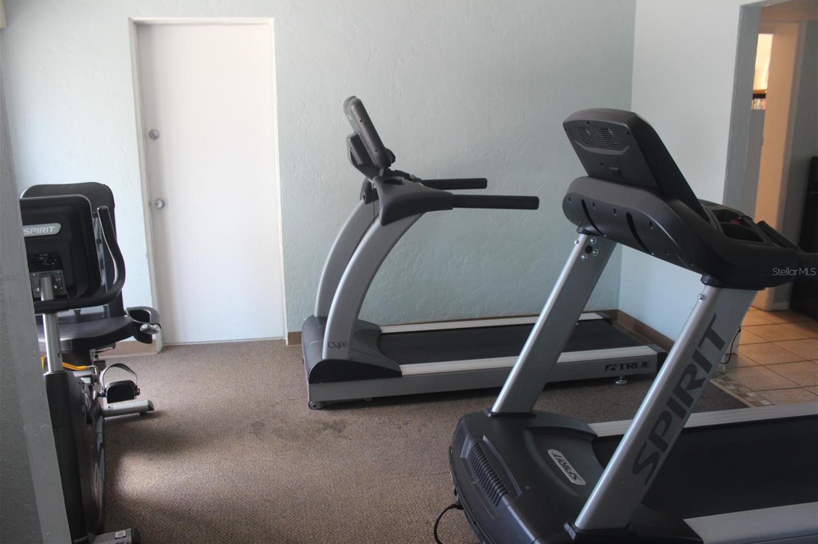 Photo #50