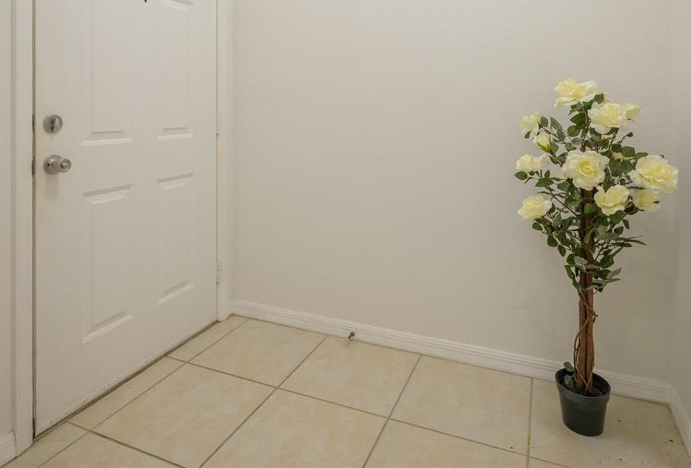 Photo #6