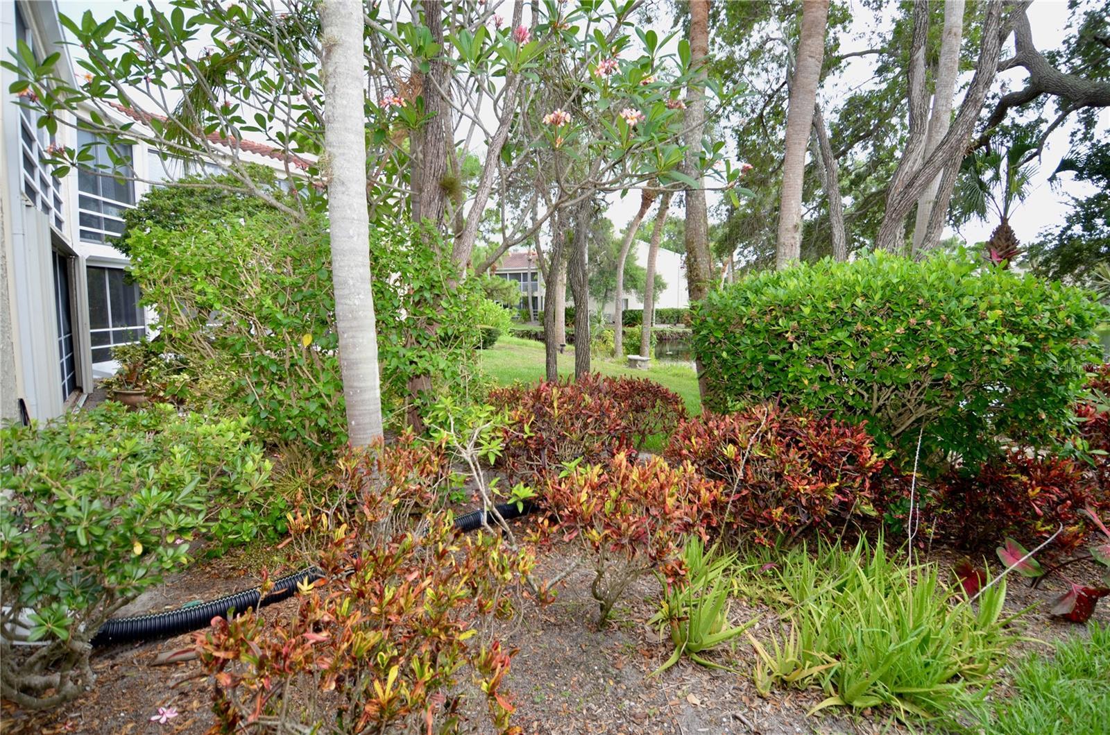Photo #46