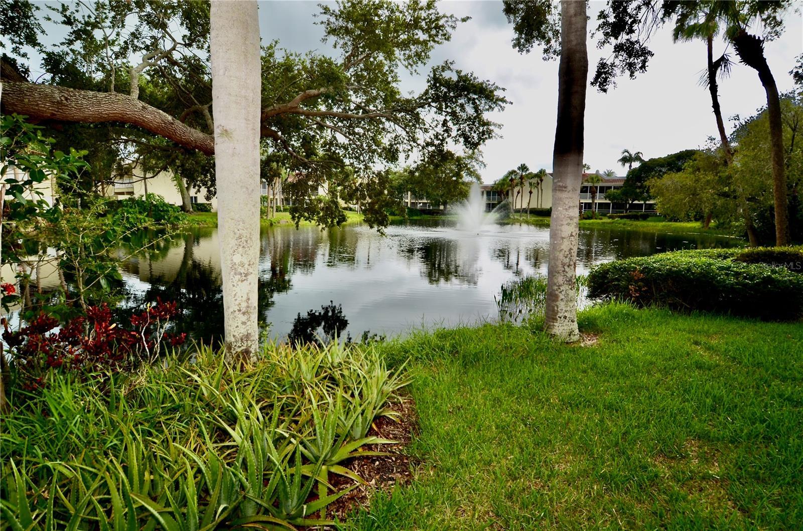 Photo #47