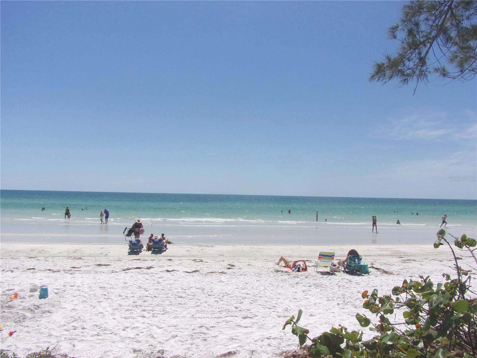 Photo #42