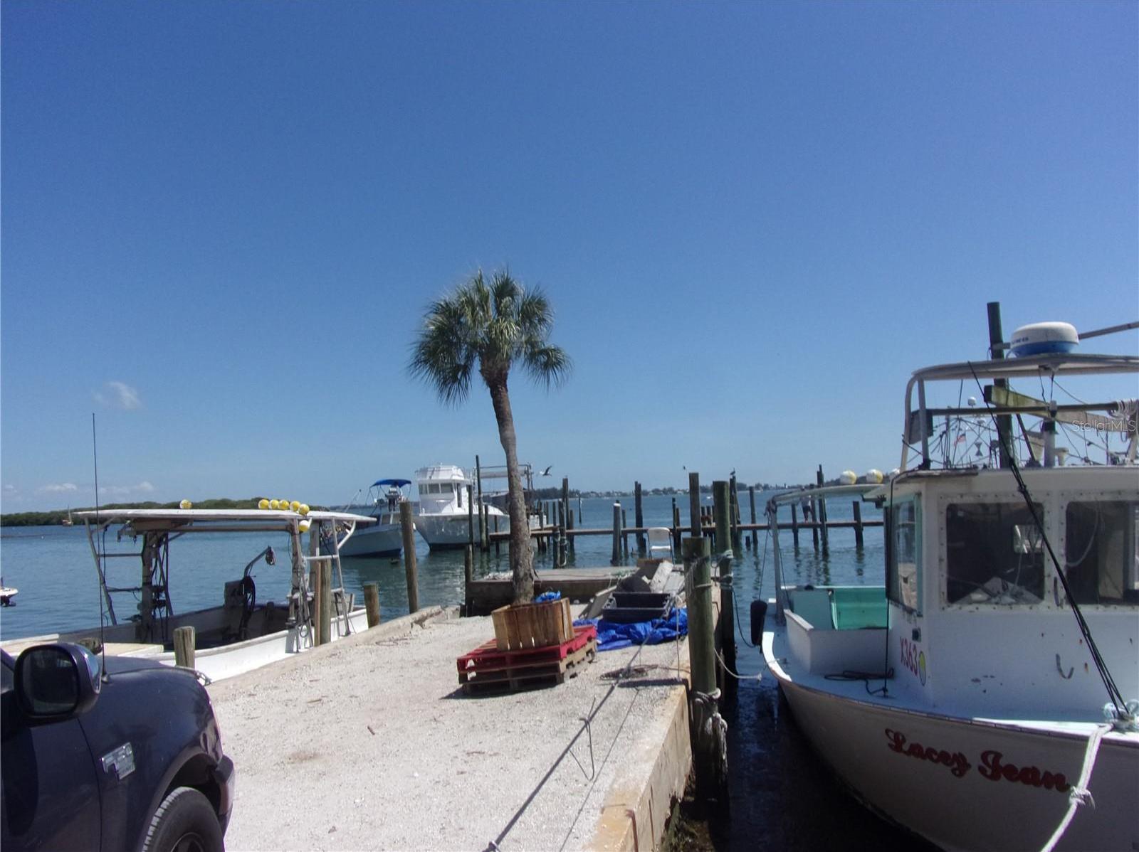 Photo #43