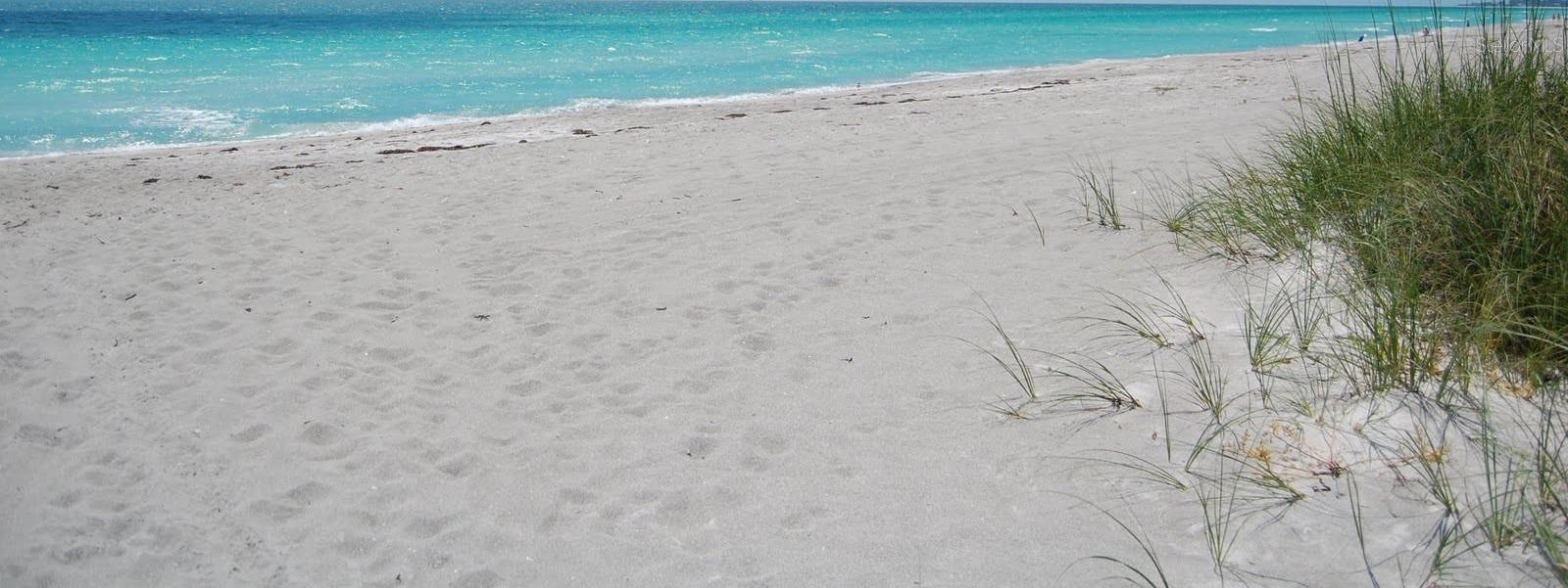 Photo #32