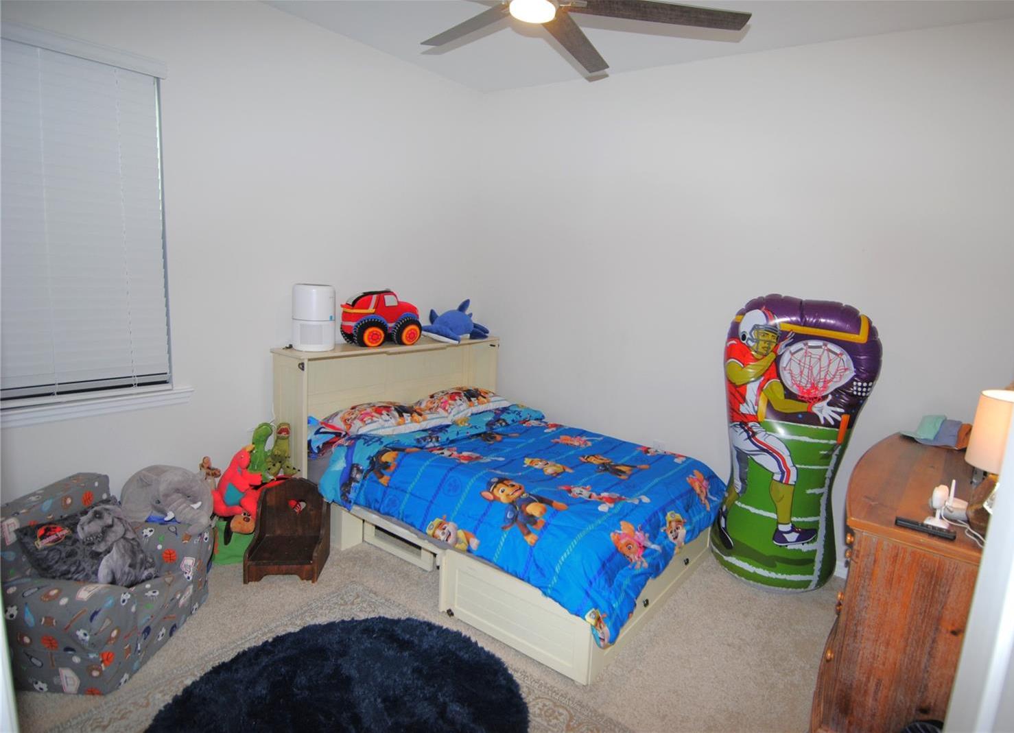 Photo #8
