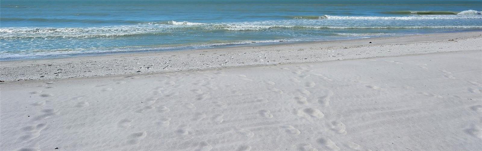 Photo #35
