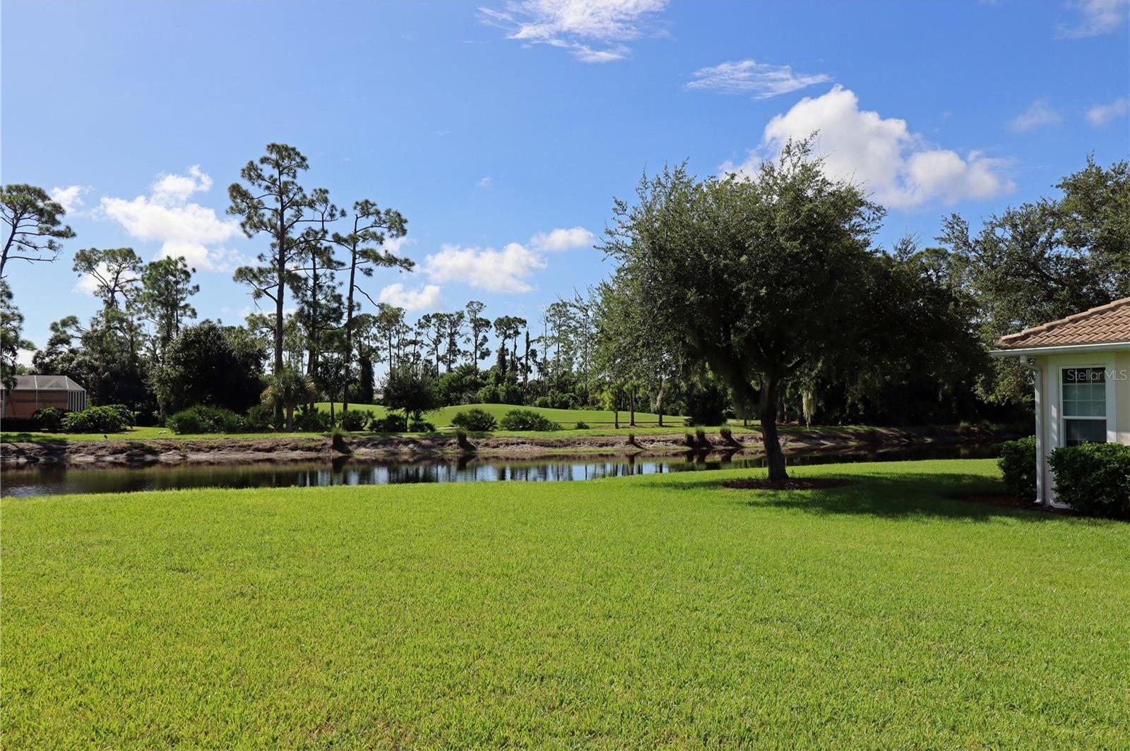 Photo #28