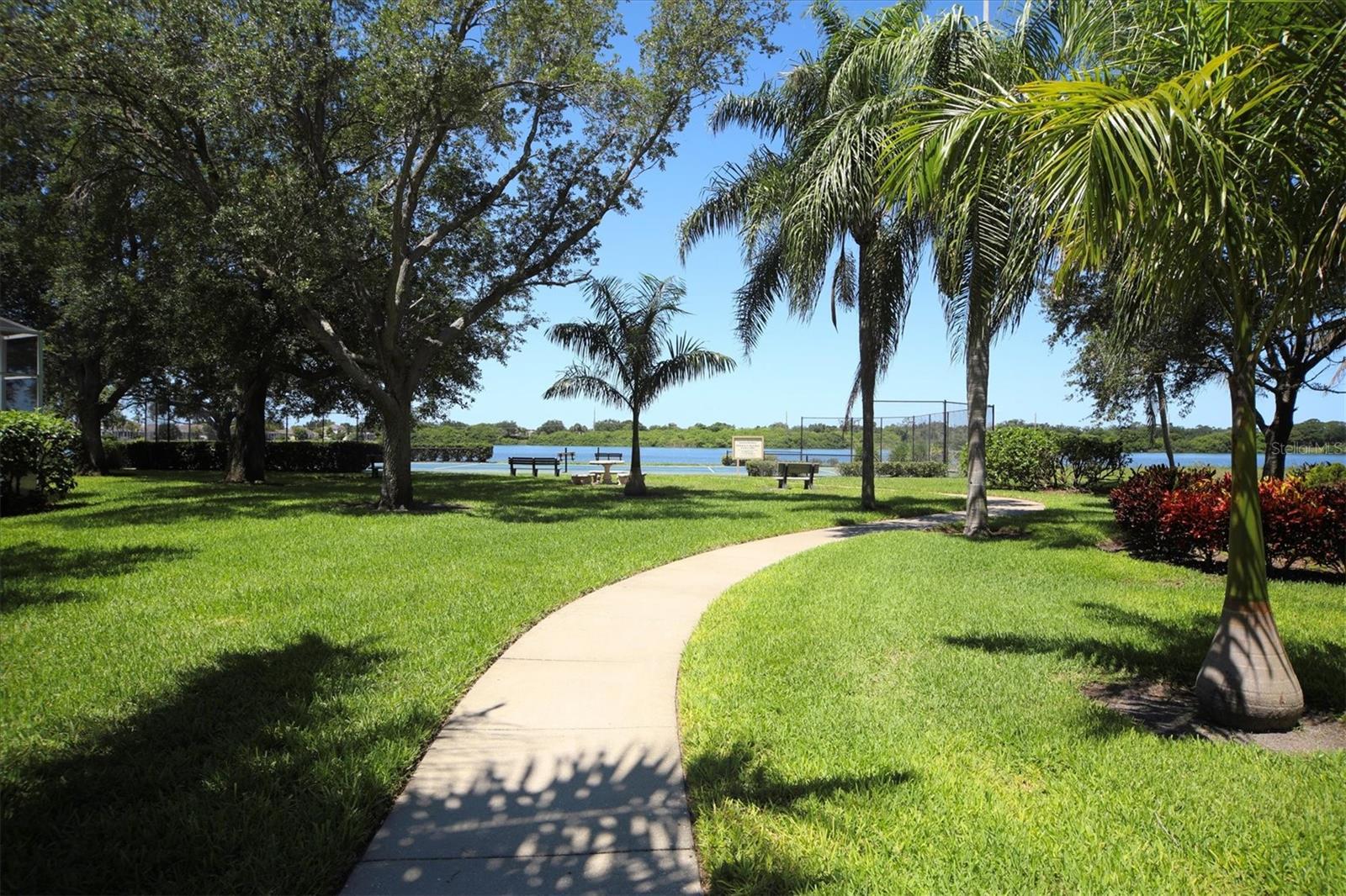 Photo #36