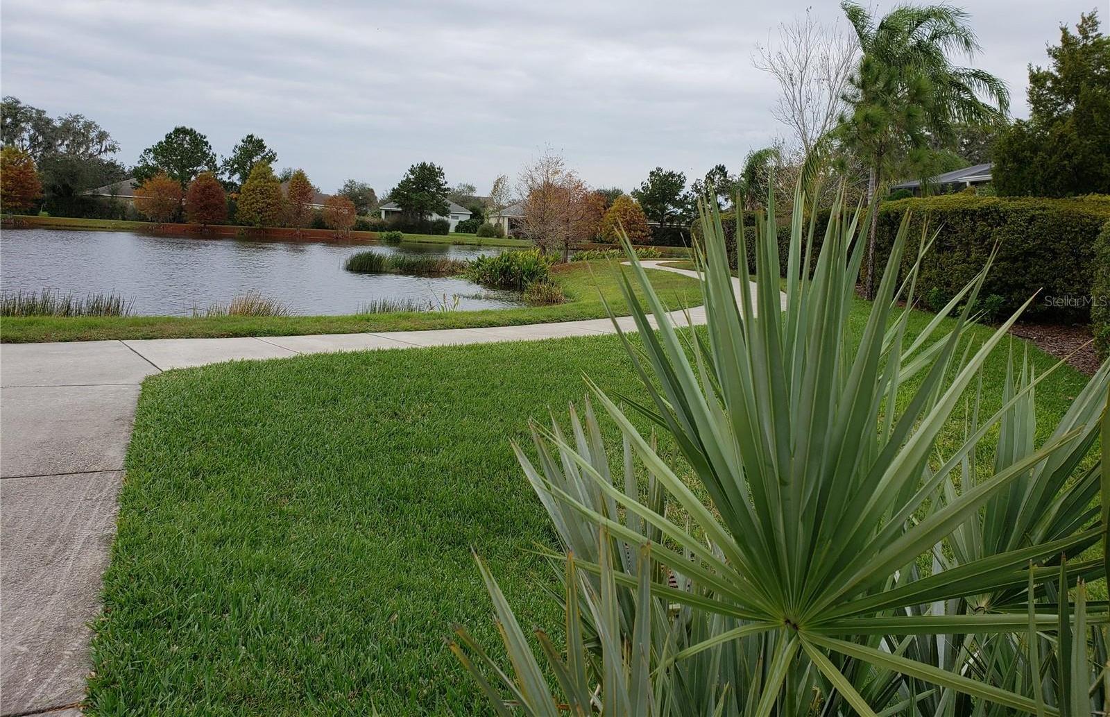 Photo #43