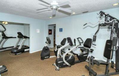 Photo #36