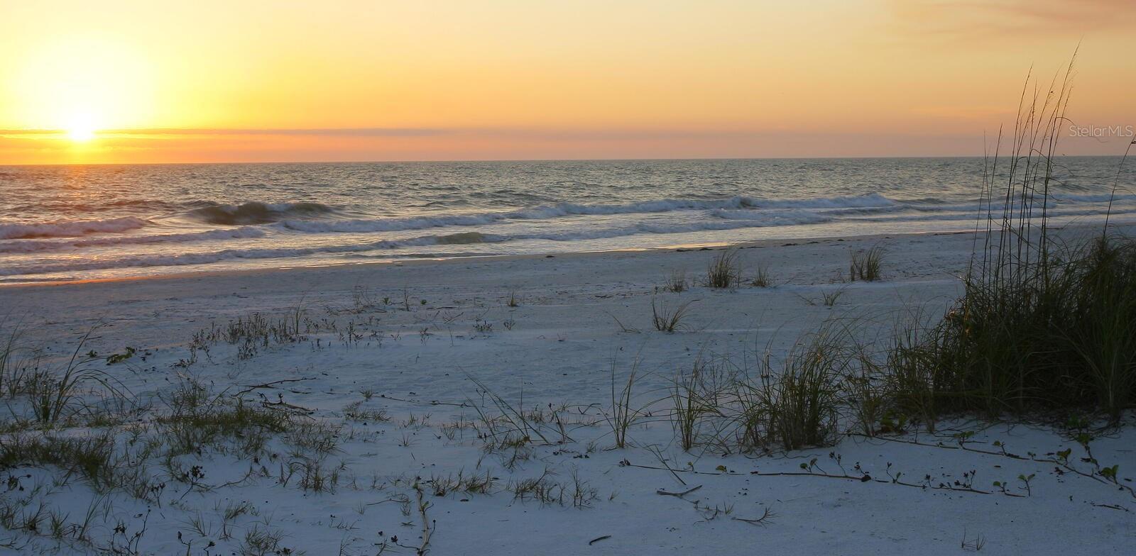 Photo #16