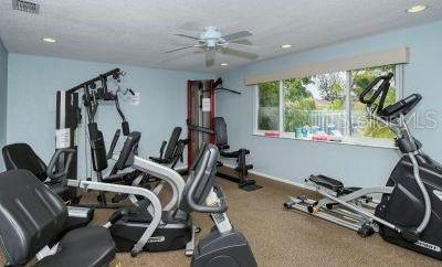 Photo #31