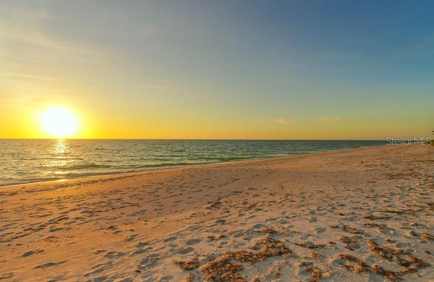 Photo #11