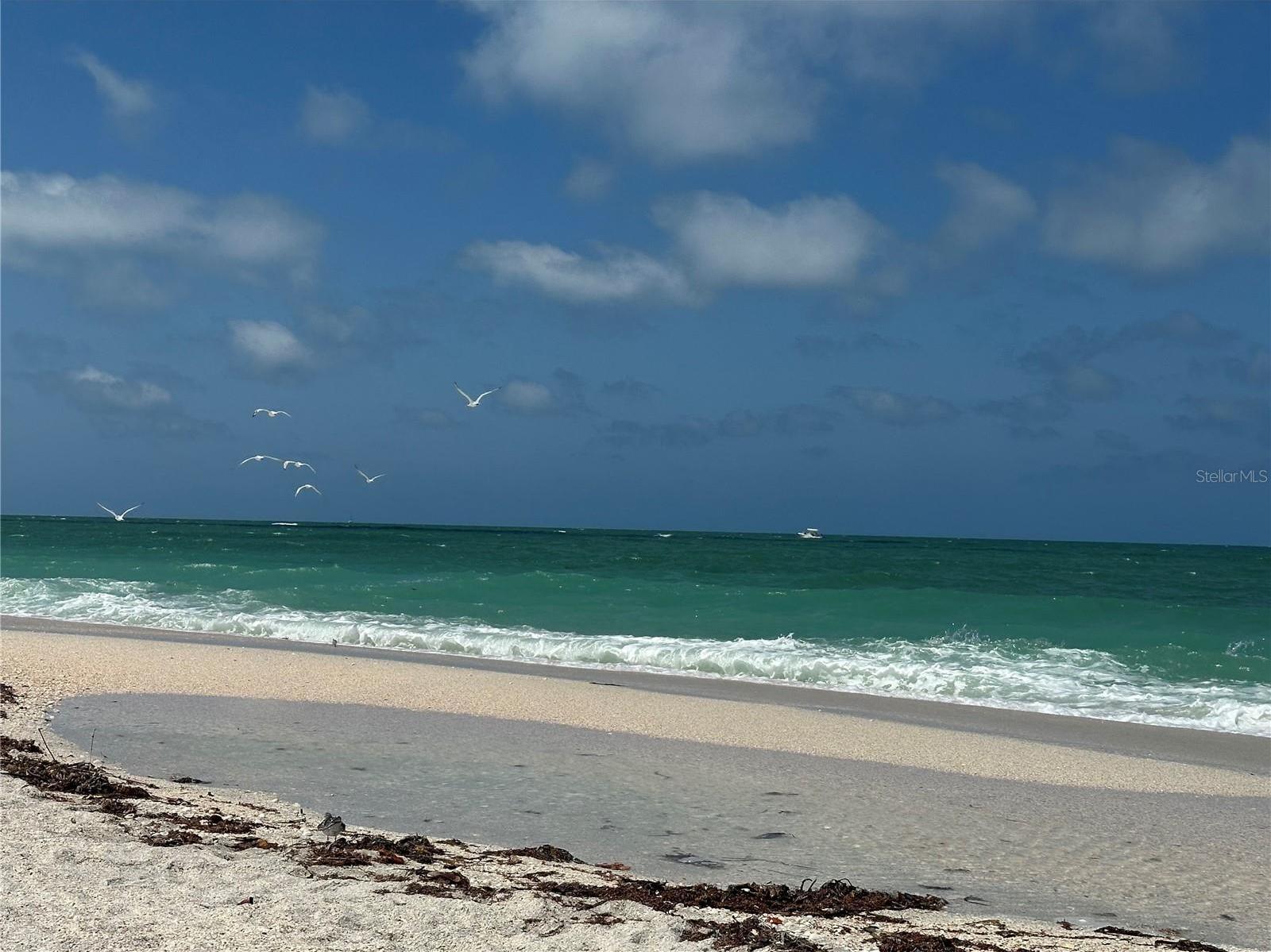 Photo #38