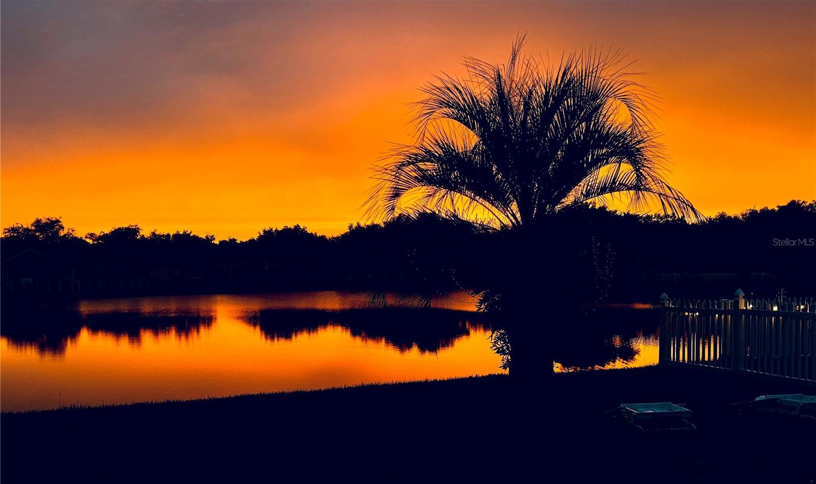 Photo #56