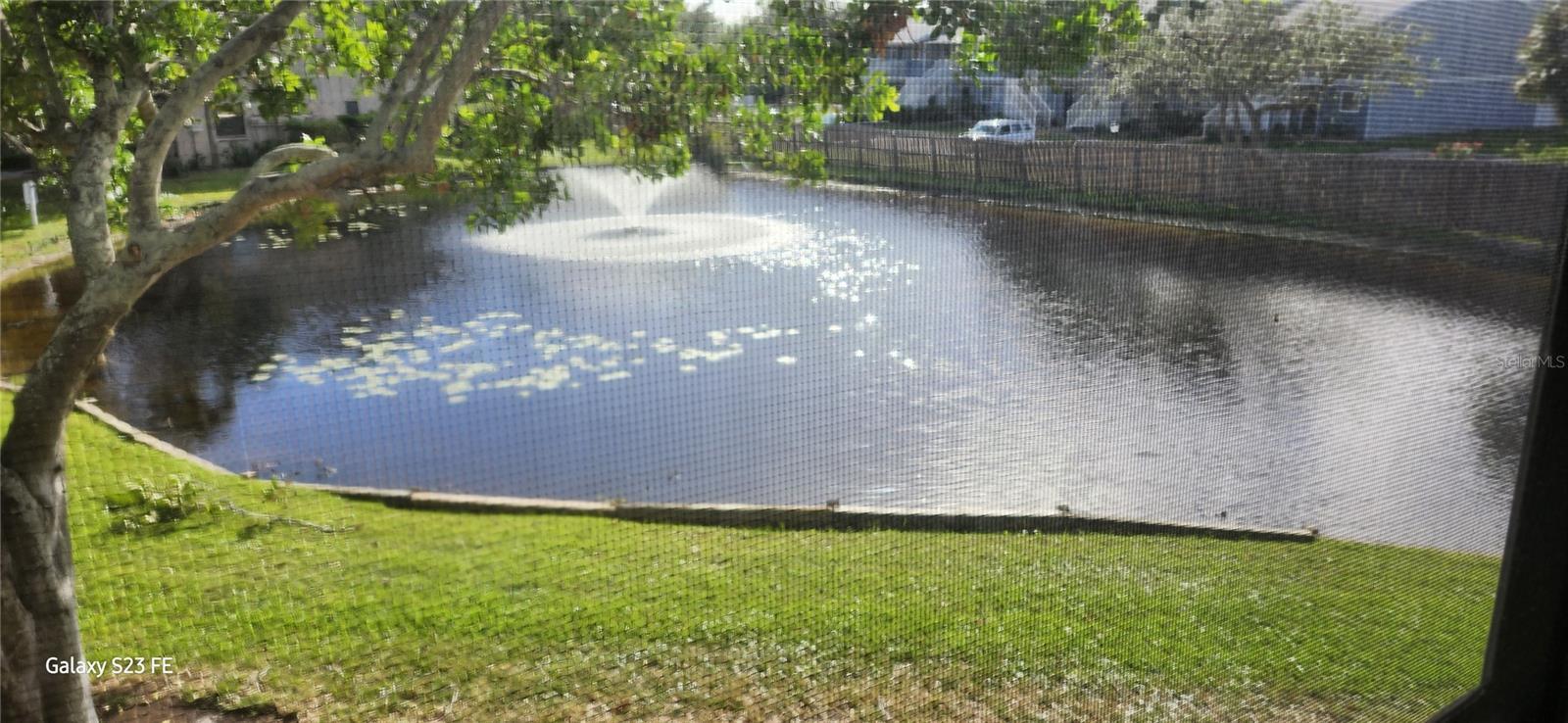 Photo #16