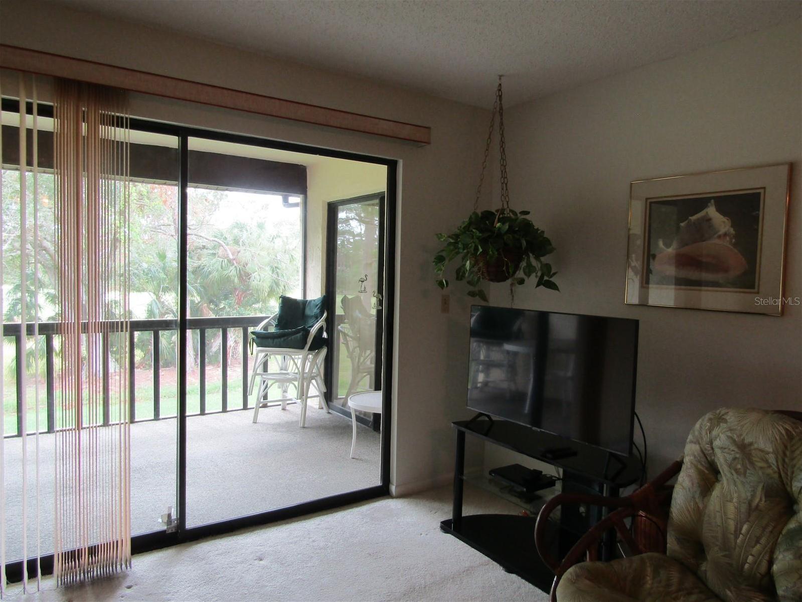 Photo #13