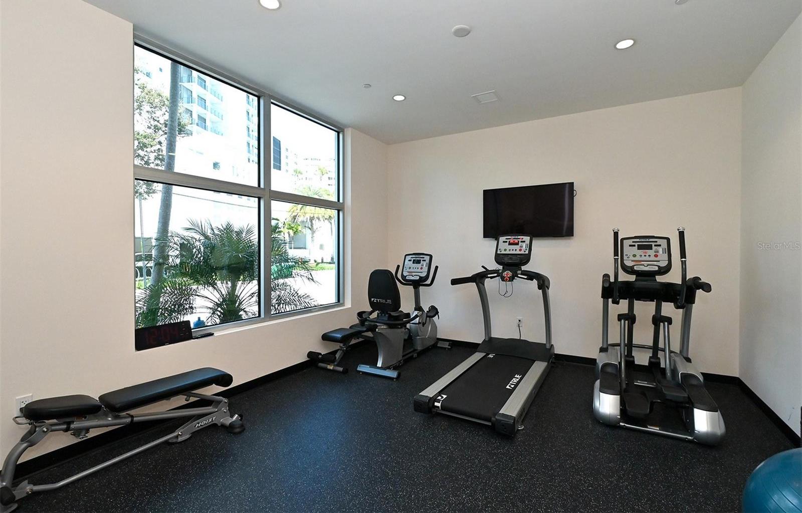 Photo #41