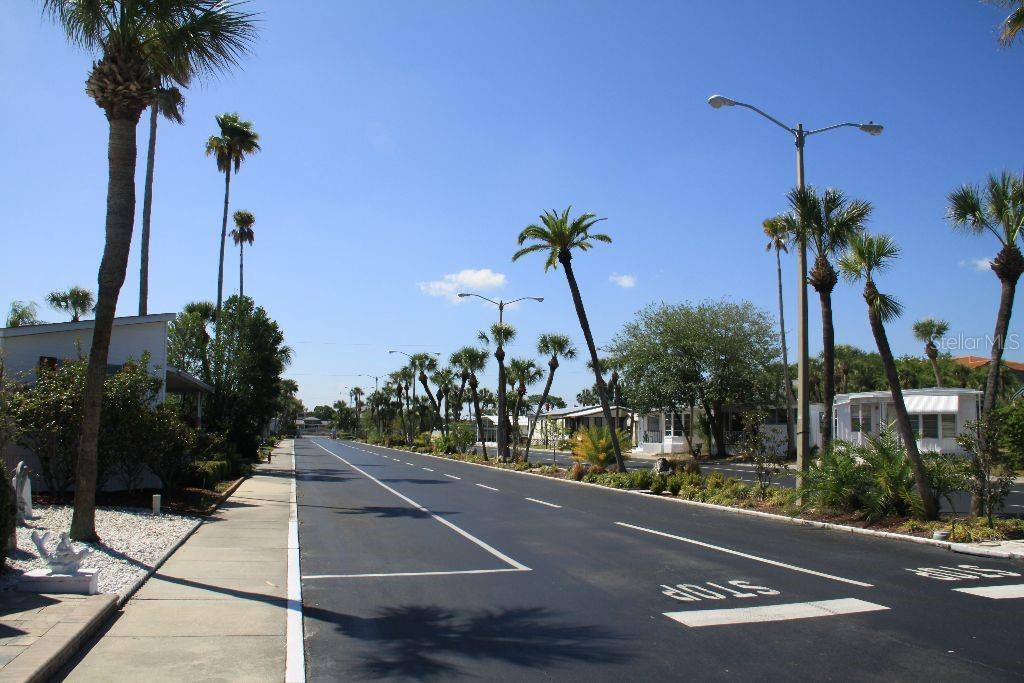 Photo #49
