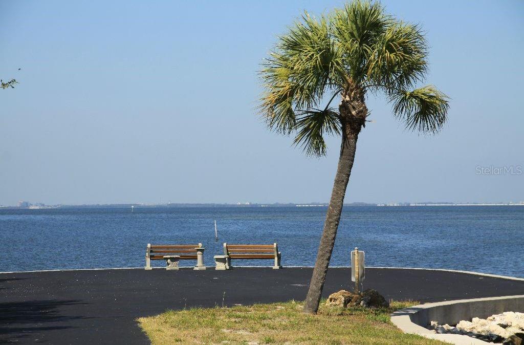 Photo #50