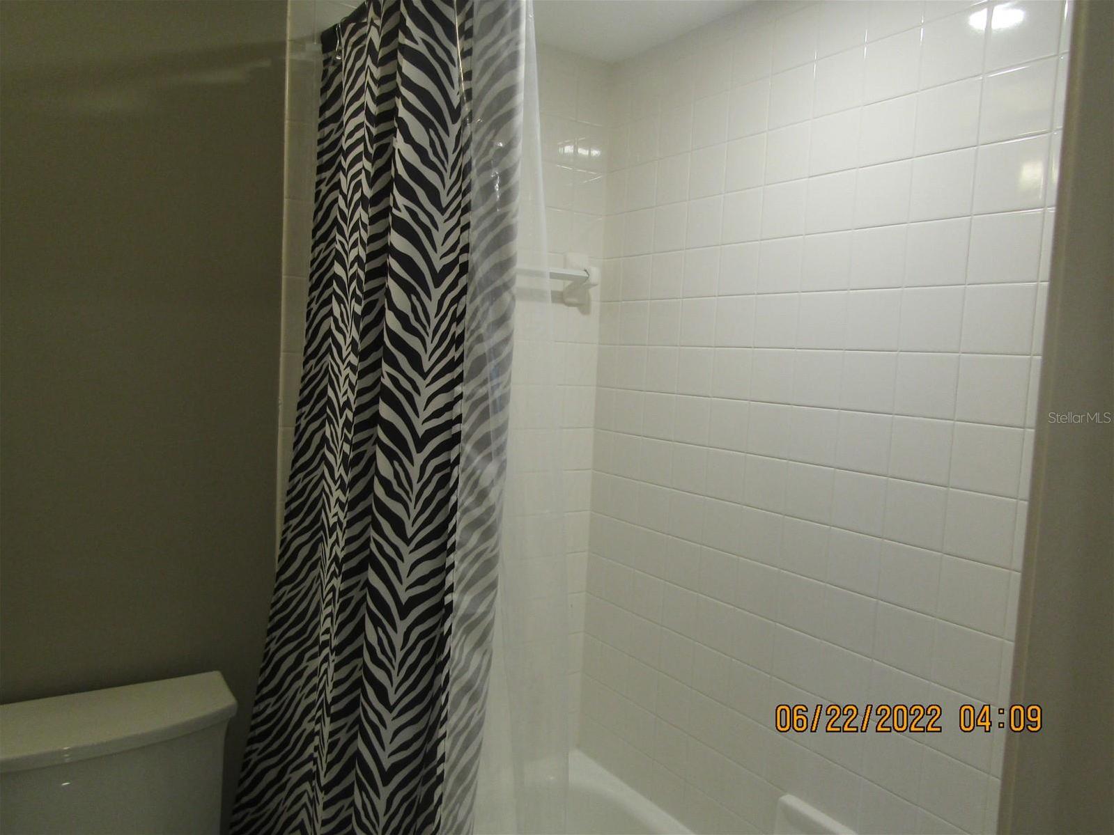 Photo #11