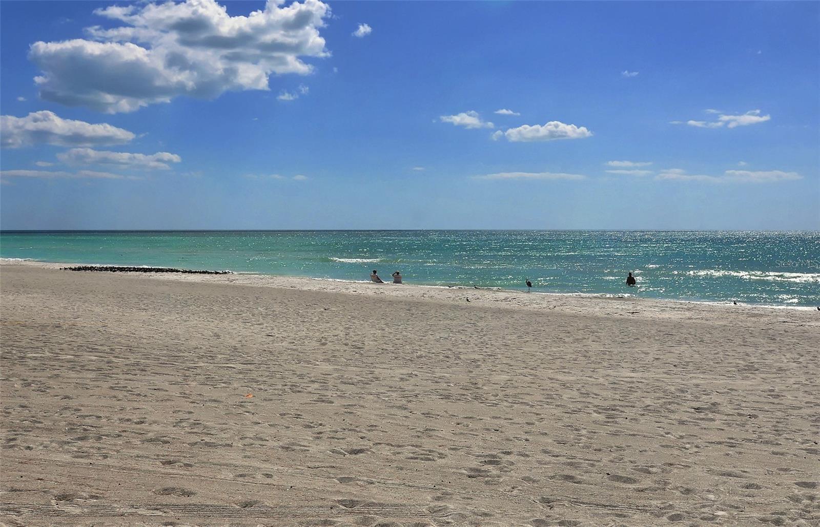 Photo #42