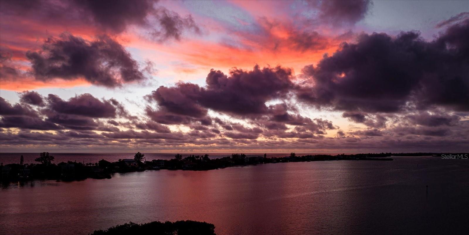 Photo #41