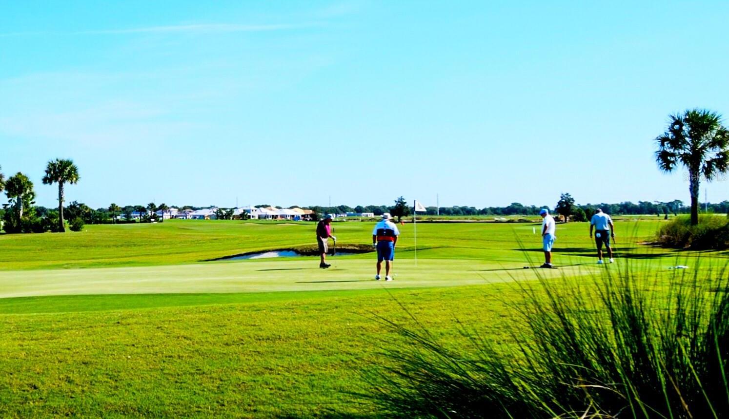 Photo #62