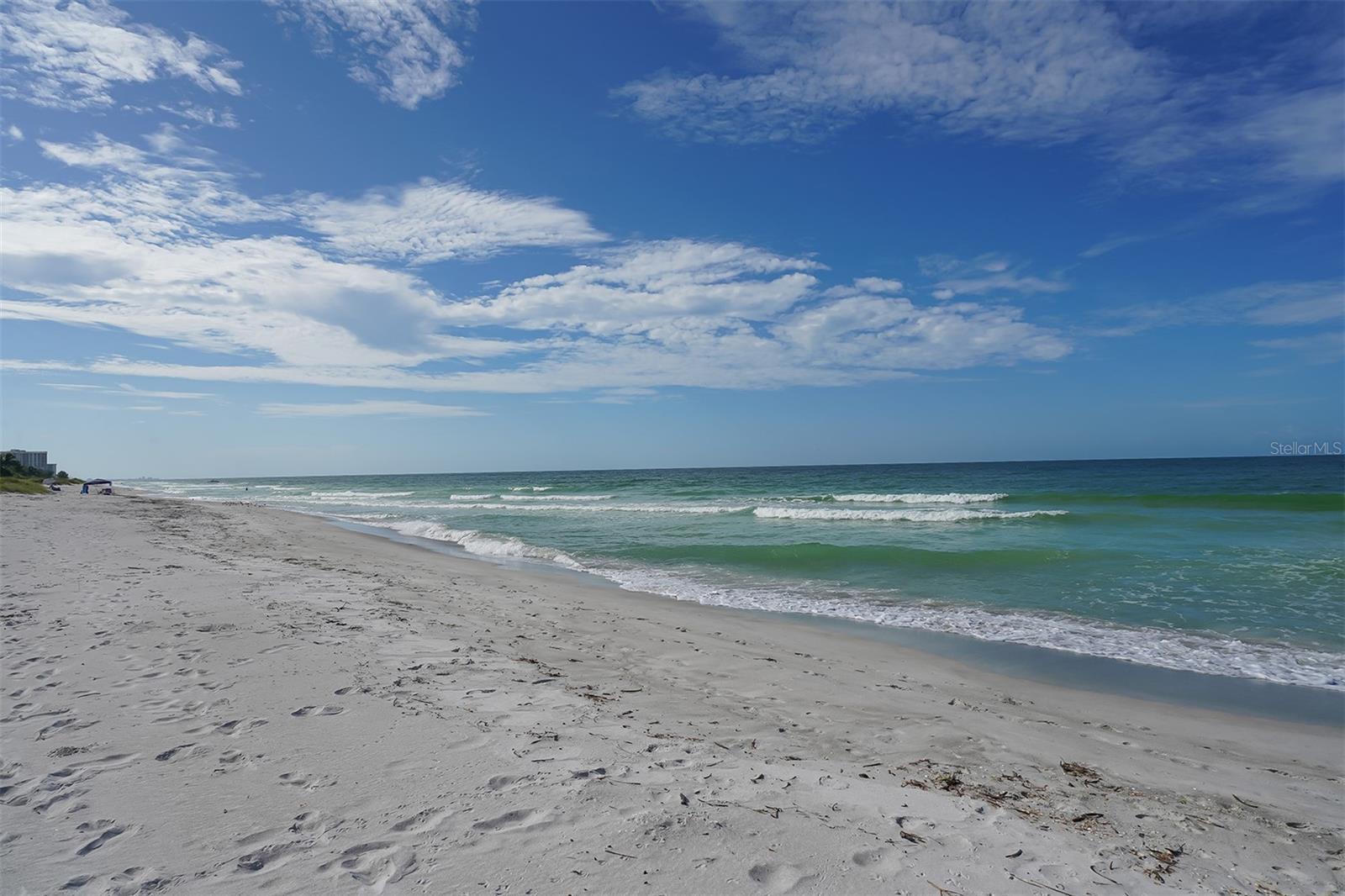 Photo #49