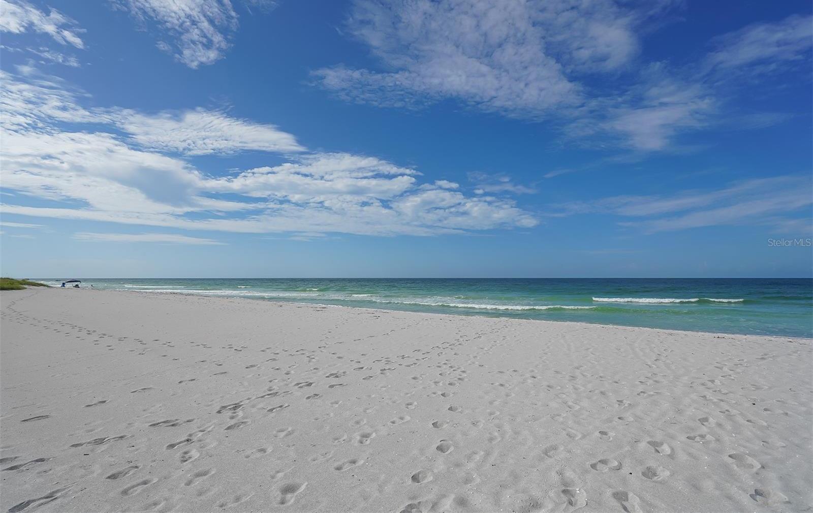 Photo #46