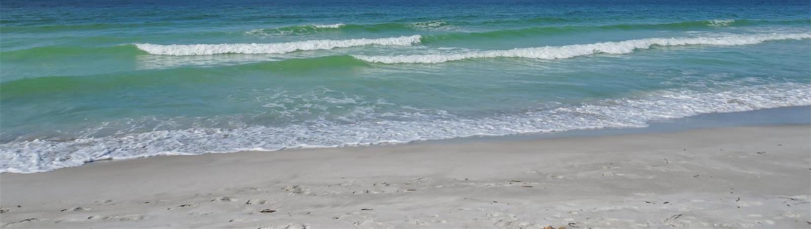 Photo #47