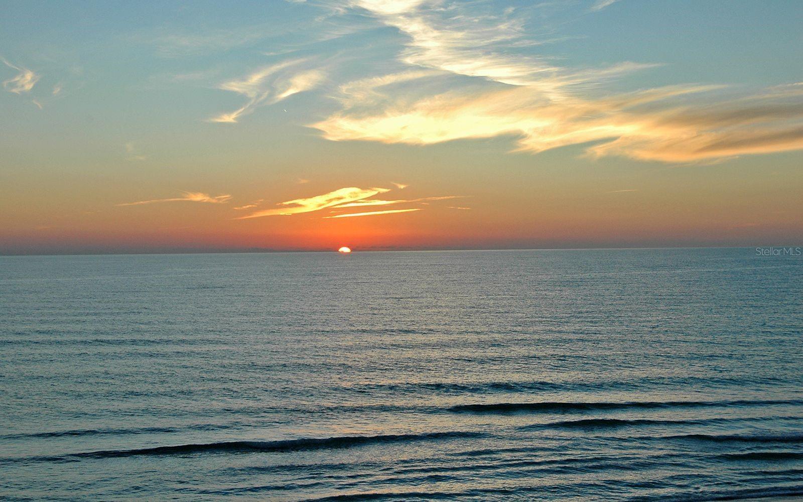 Photo #36