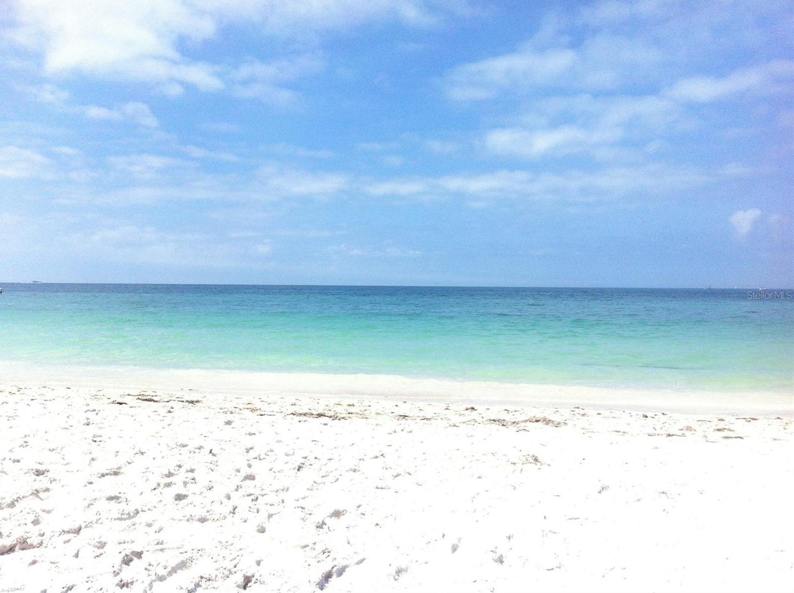 Photo #62