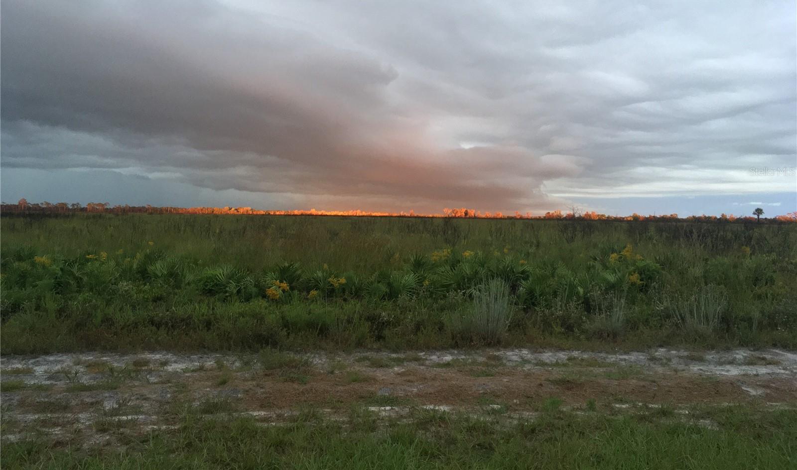 Photo #97