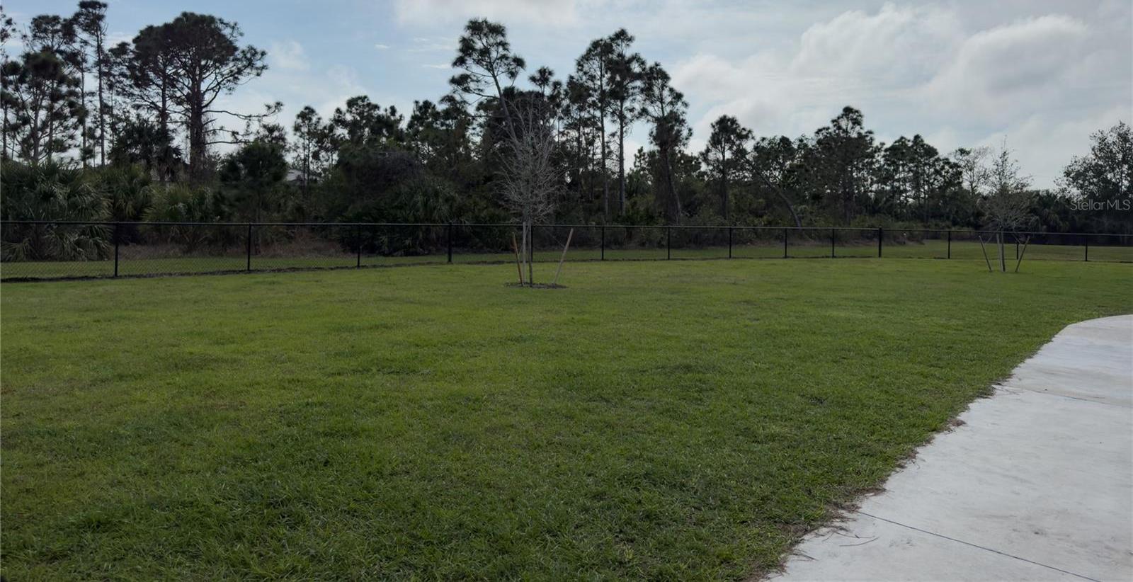 Photo #34