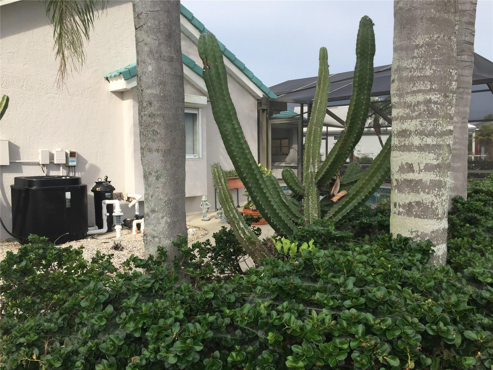 Photo #33