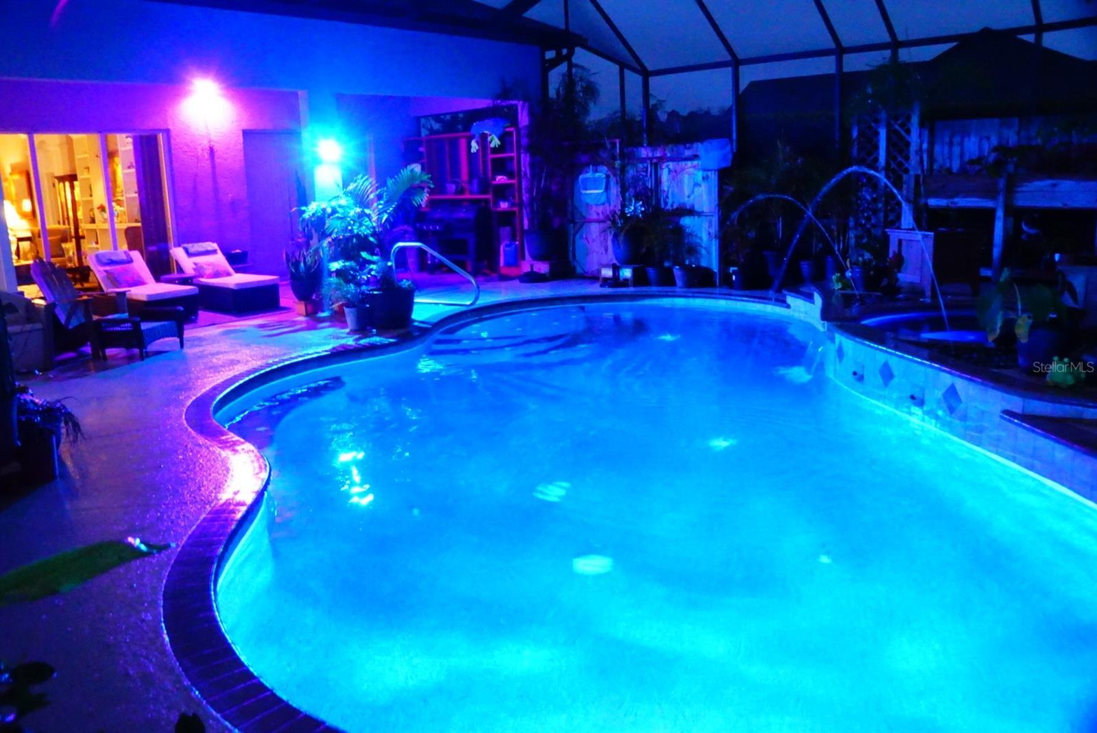 Photo #41